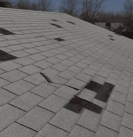 Big Lick Roofing project