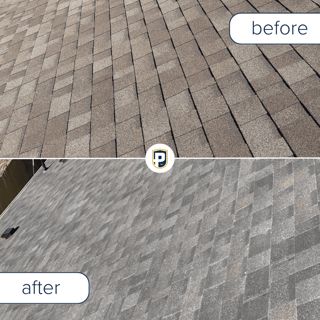 Petrali Roofing - Central project